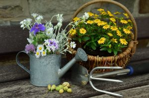 10 tipů, jak připravit zahradu na jaro