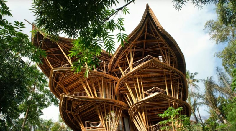 Překrásné bambusové domy, za kterými stojí sen jedné ženy