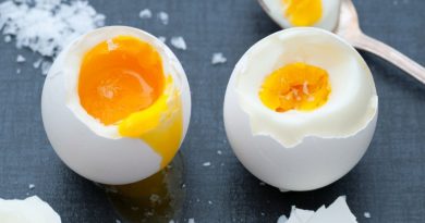 Výhody konzumace slepičích vajec pro lidský organismus