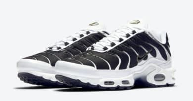 Tenisky Nike Air Max Plus Metallic Pewter