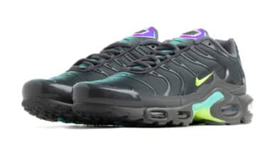 Tenisky Nike Air Max Plus Iron Grey CV1636-001