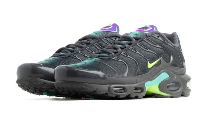 Tenisky Nike Air Max Plus Iron Grey CV1636-001