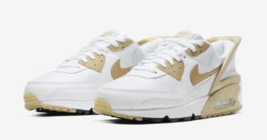 Tenisky Nike Air Max 90 FlyEase CU0814-100