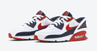 Tenisky Nike Air Max 90 FlyEase CU0814-104