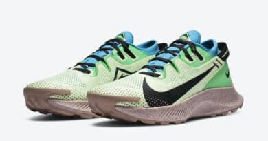 Tenisky Nike Pegasus Trail 2 CK4305-700