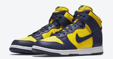 Tenisky Nike Dunk High Michigan CZ8149-700