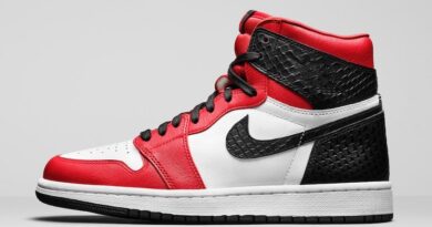 Tenisky Air Jordan 1 High OG WMNS CD0461-601