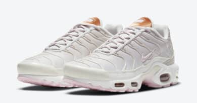 Pánské bílé tenisky Nike Air Max Plus White Soft Pink Metallic Copper DD6612-001 nízké sportovní boty a obuv Nike