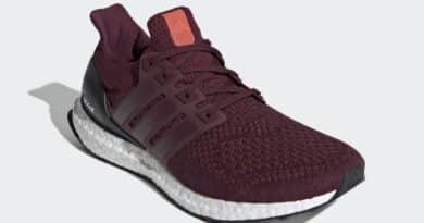 Pánské vínové tenisky a botasky adidas Ultra Boost 1.0 Maroon/Maroon-Black AF5836 nízké běžecké boty a obuv Adidas