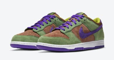 Pánské hnědé a zelené tenisky Nike Dunk Low SP Veneer/Autumn Green-Deep Purple DA1469-200 nízké semišové boty a obuv Nike