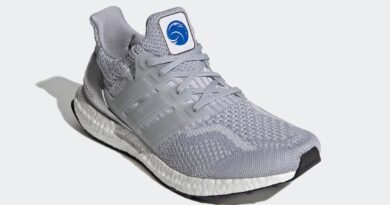 Pánské šedé tenisky a botasky NASA x adidas Ultra Boost DNA Halo Silver/Halo Silver-Dash Grey FX7972 nízké běžecké boty a obuv Adidas