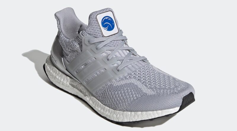 Pánské šedé tenisky a botasky NASA x adidas Ultra Boost DNA Halo Silver/Halo Silver-Dash Grey FX7972 nízké běžecké boty a obuv Adidas