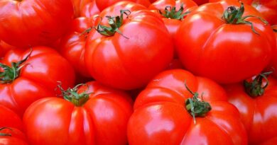 Jednoduchý recept na skvělý domácí kečup a hlavně bez cukru