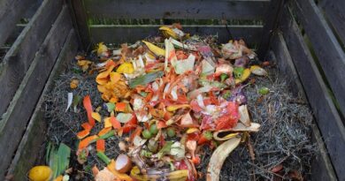 Kompostování a které věci byste neměli dávat do kompostéru