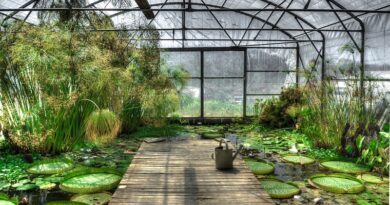 Co je dobré vědět než si koupíte nebo postavíte nový skleník - zahradní skleníky