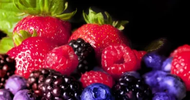 Druhy ovoce bohaté na vitamín E které můžete jíst pro zdraví