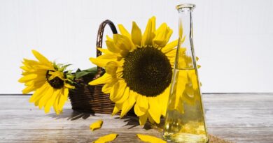 Proč je slunečnicový olej skvělý pro vaši pleť a jeho výhody