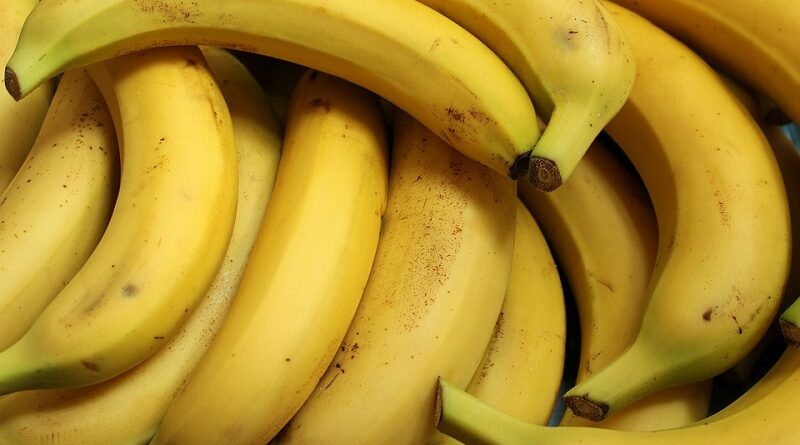 Oblíbené banány a 14 překvapivých zdravotních výhod banánů