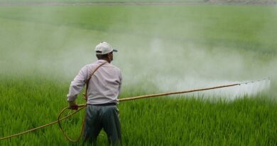 Pesticidy jsou jed: Škodlivé účinky pesticidů na naše zdraví