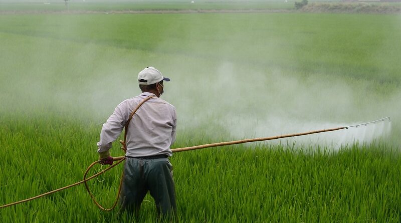 Pesticidy jsou jed: Škodlivé účinky pesticidů na naše zdraví