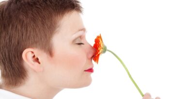 6 důvodů proč si náš nos zaslouží větší uznání než mu dáváme