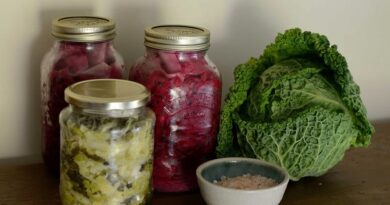 Jak fermentované potraviny prospívají vaší trávicí soustavě
