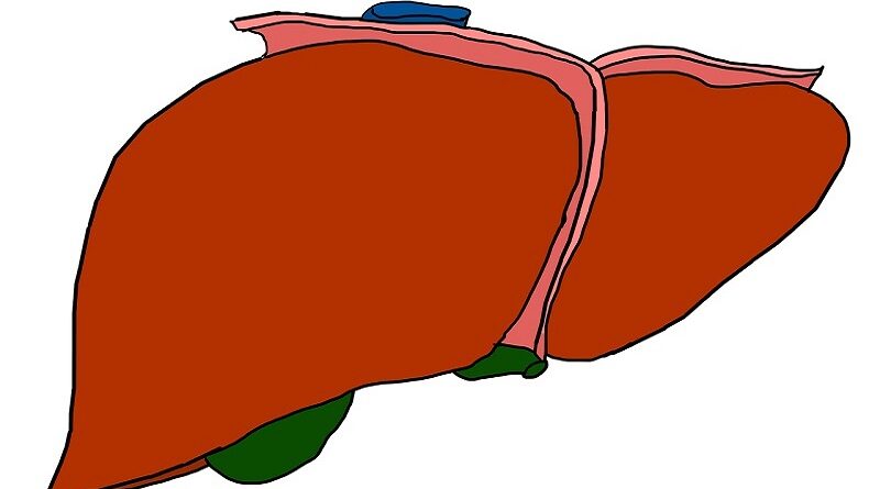 Způsoby, jak se chránit před rizikem virové hepatitidy