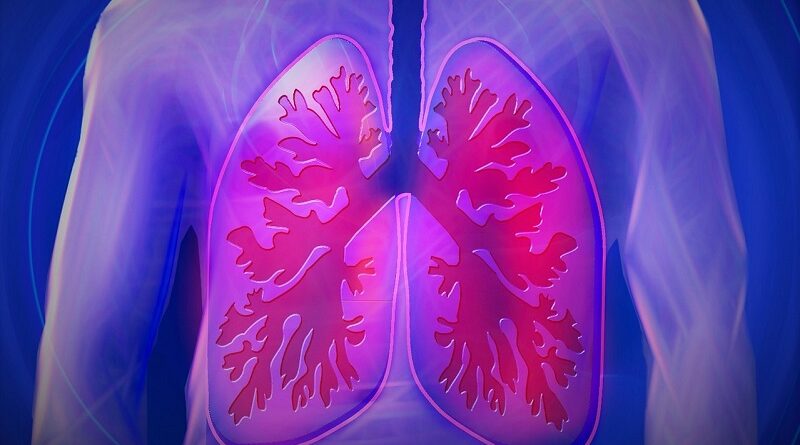 Způsoby, jak si udržet zdravé a silné plíce