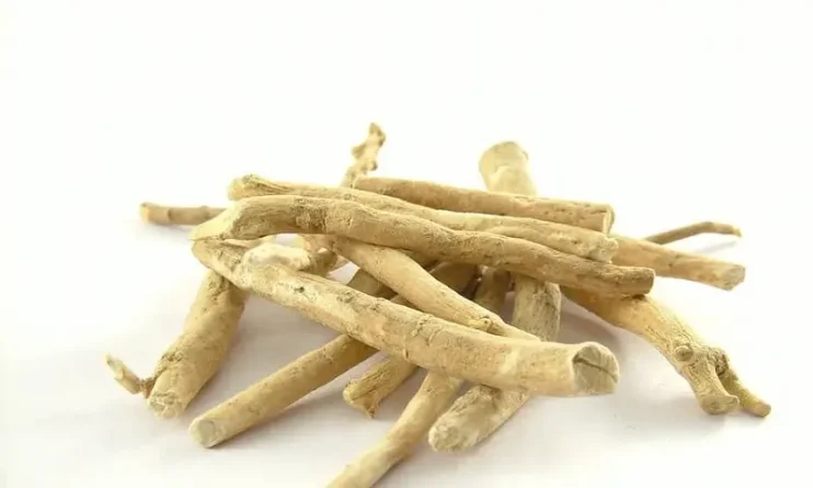 Hlavní účinky ashwagandhy (vědecky podložené)